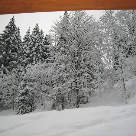 Ski-in Ski-out Kriekels - By Alpen Holiday home *