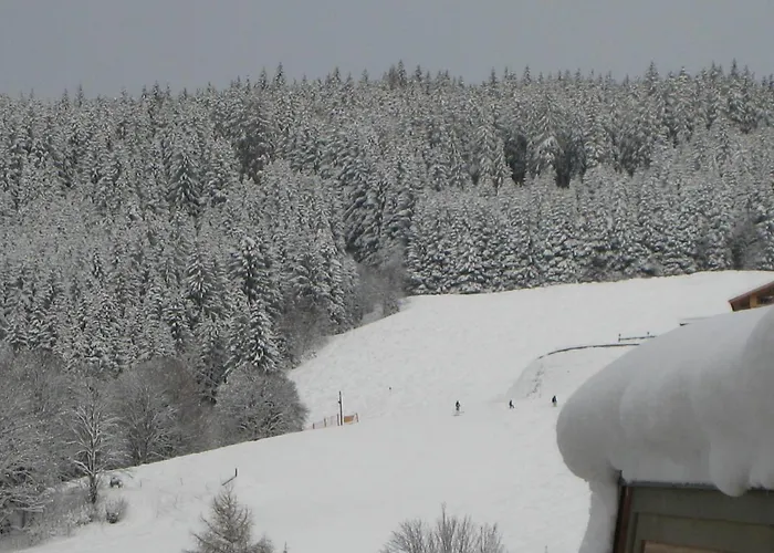 Ski-in Ski-out Kriekels - By Alpen * 滨湖采尔