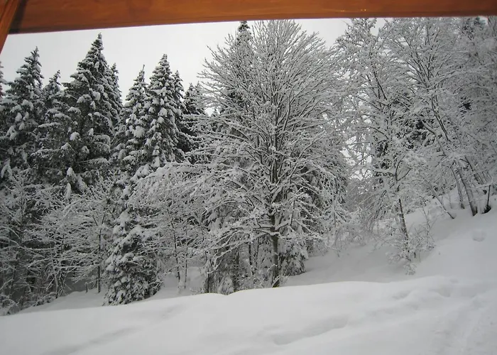 Ski-in Ski-out Kriekels - By Alpen Casa de Férias *