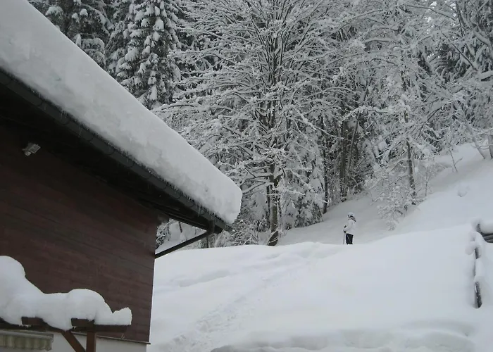 Ski-in Ski-out Kriekels - By Alpen Сasa de vacaciones