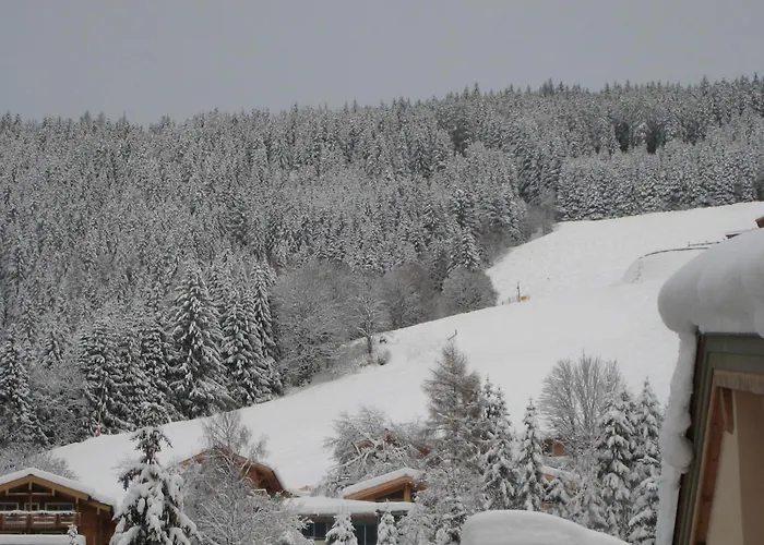 Ski-in Ski-out Kriekels - By Alpen *